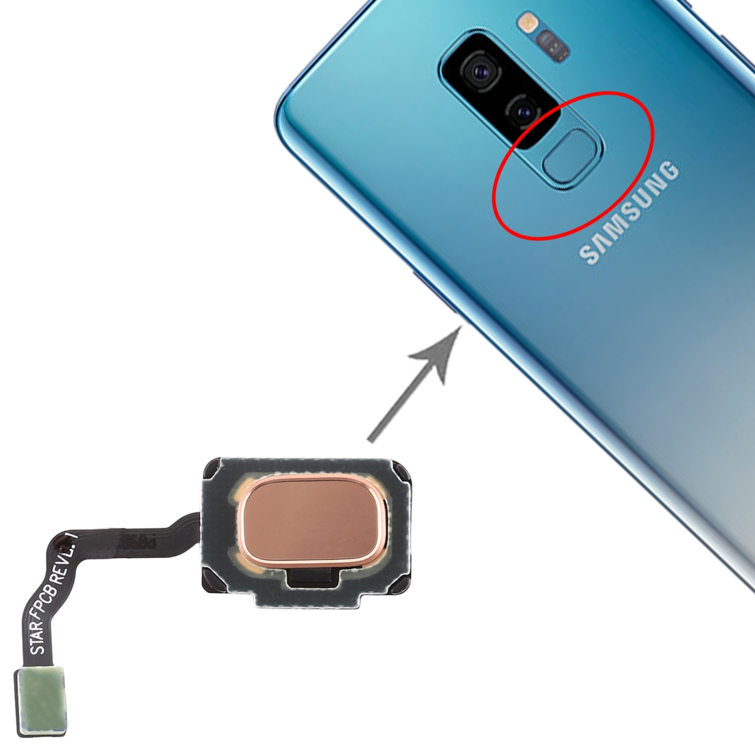 Samsung Galaxy S9 Gold Fingerprint Sensor Flex Cable Replacement - Image 4
