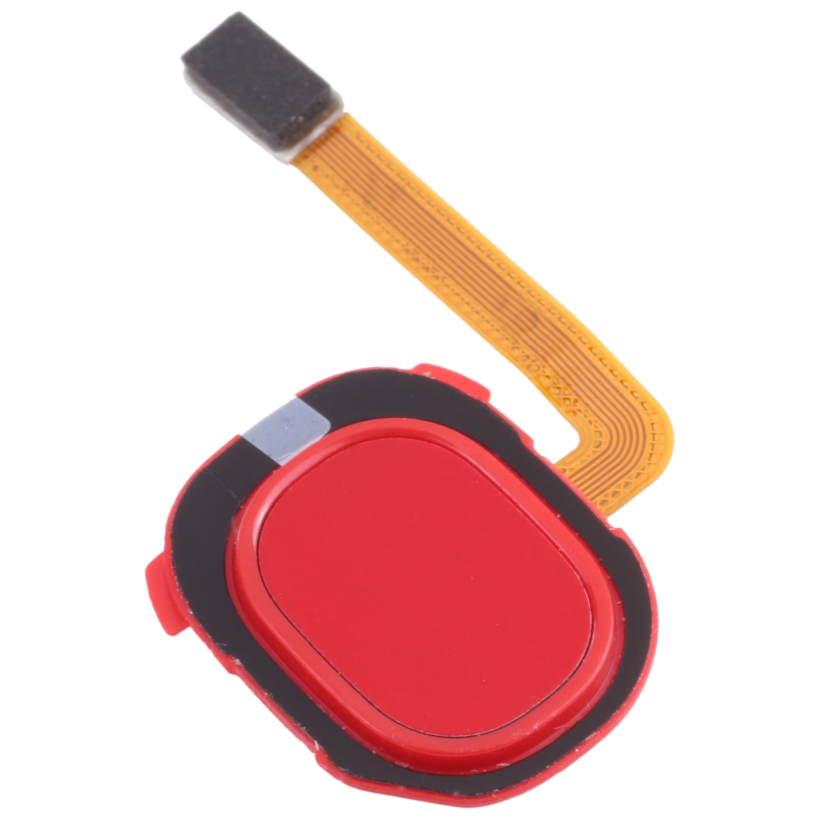 Samsung Galaxy A20e fingerprint sensor flex cable red