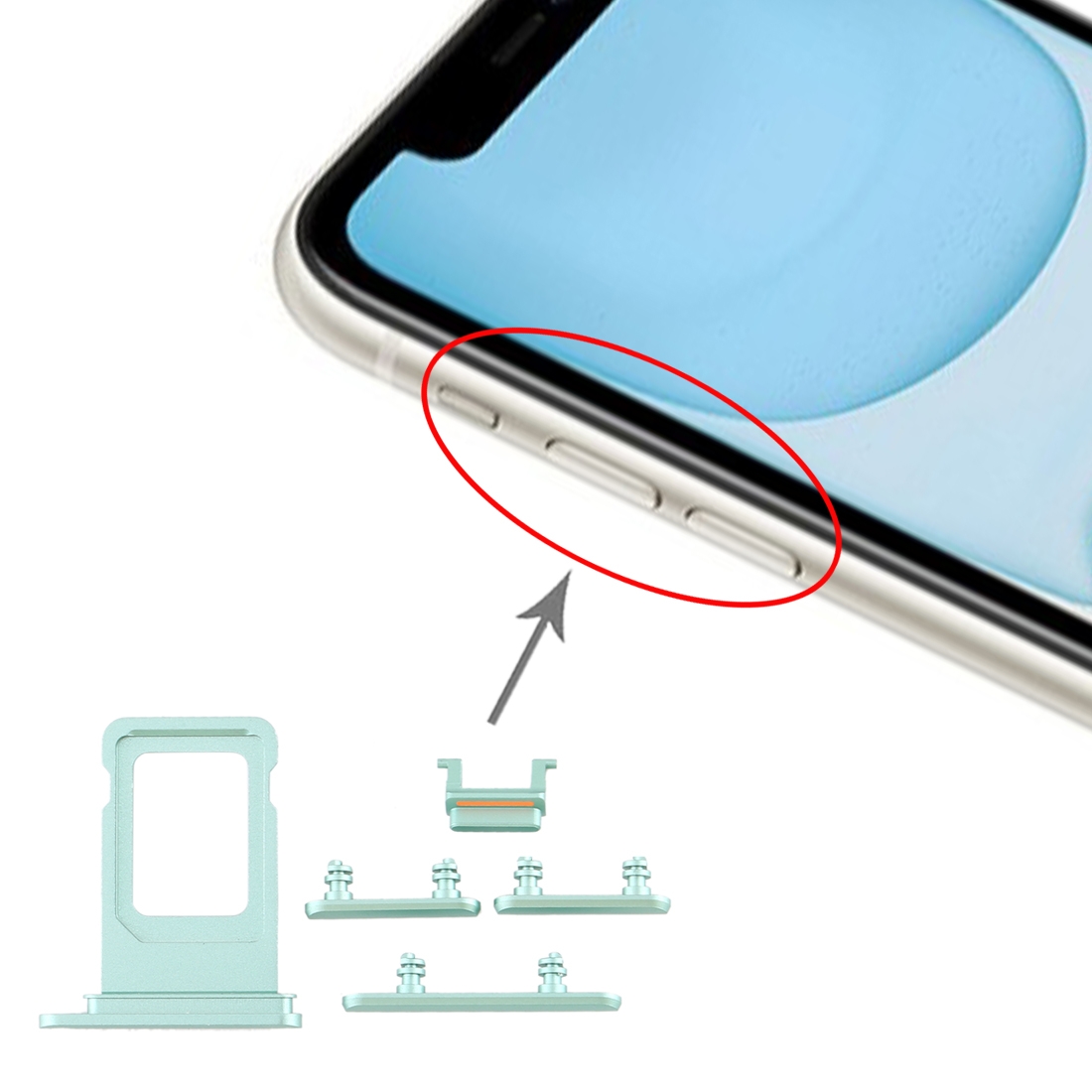 iPhone 11 Green SIM Card Tray and Side Key Replacement - Image 4
